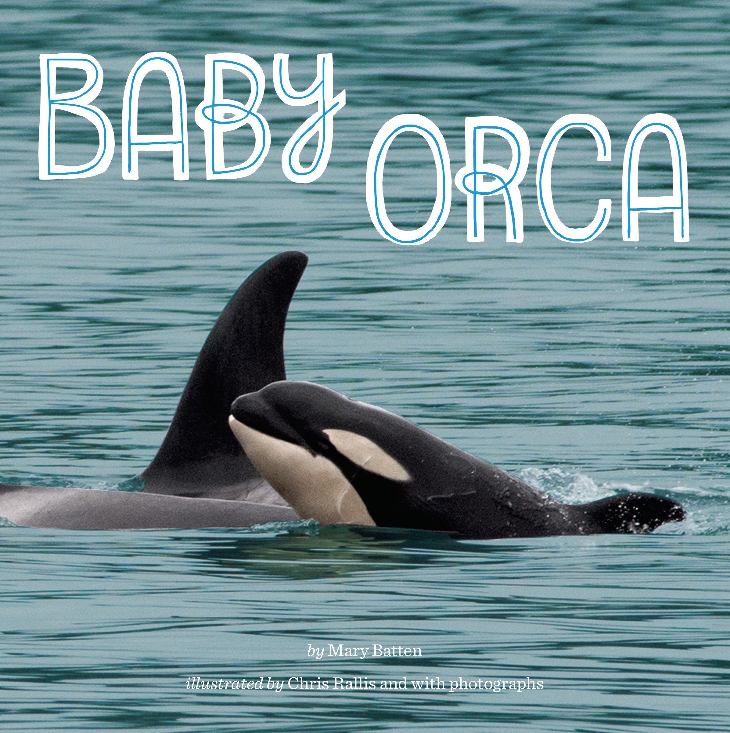 Baby Orca