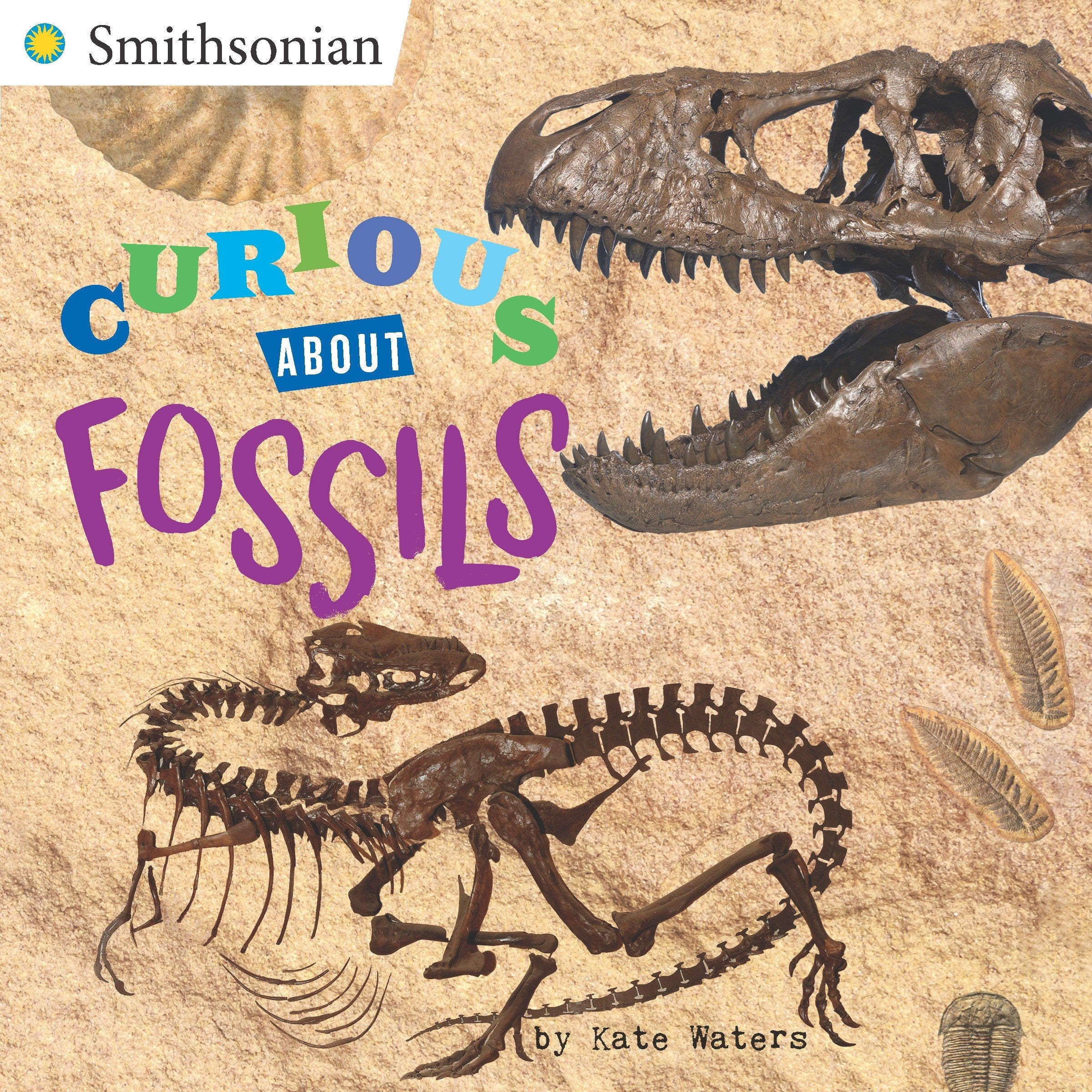 Curious About Fossils