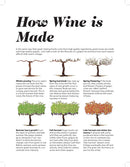 Wine Folly: Magnum Edition: The Master Guide