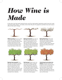 Wine Folly: Magnum Edition: The Master Guide