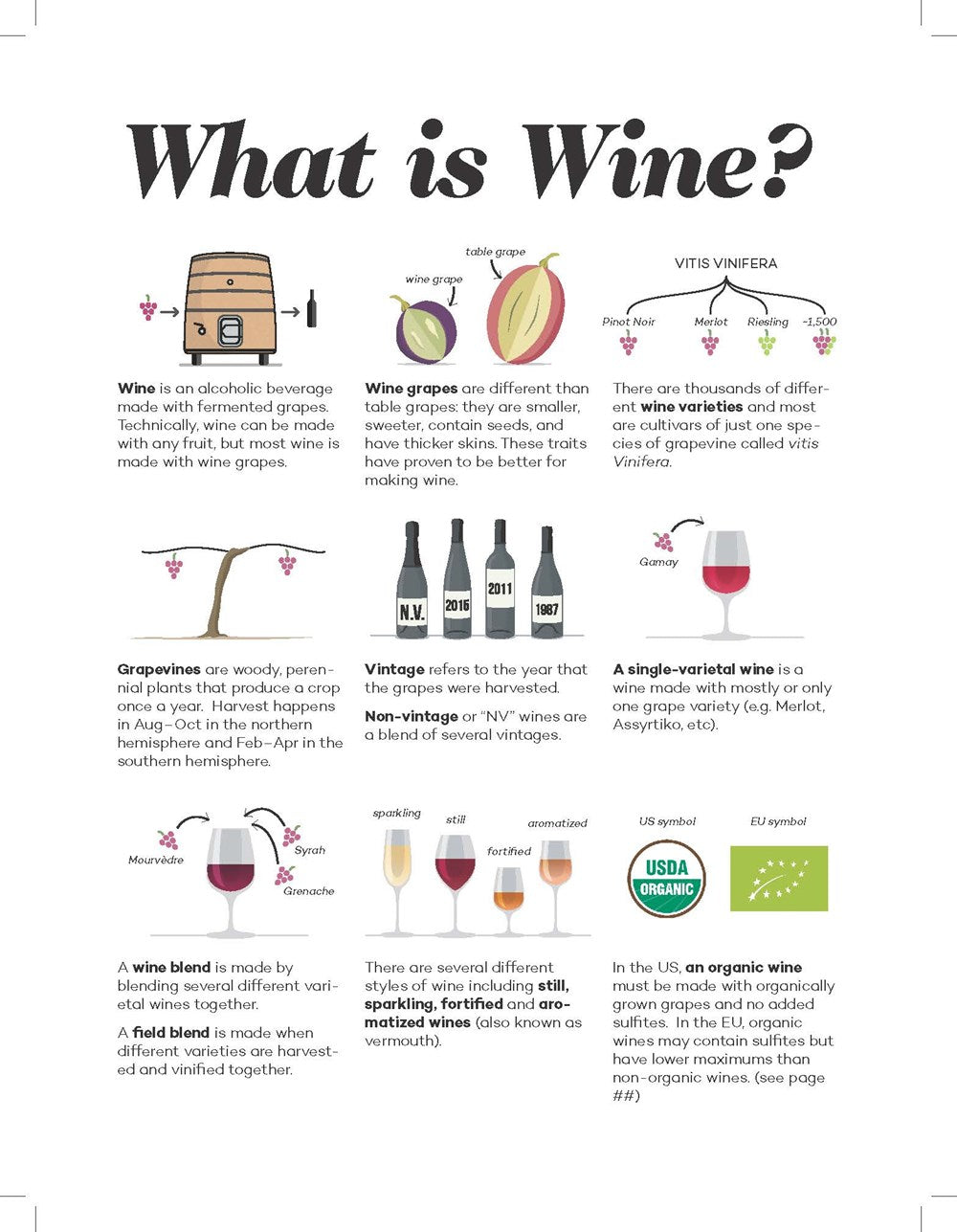 Wine Folly: Magnum Edition: The Master Guide