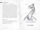 Pembrick's Creaturepedia (The Wingfeather Saga)