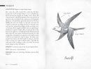 Pembrick's Creaturepedia (The Wingfeather Saga)