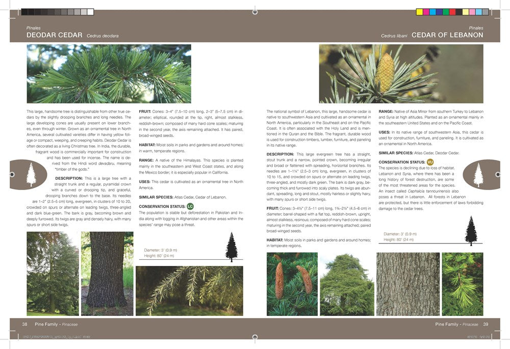 National Audubon Society Trees of North America (National Audubon Society Complete Guides)