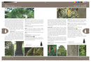 National Audubon Society Trees of North America (National Audubon Society Complete Guides)