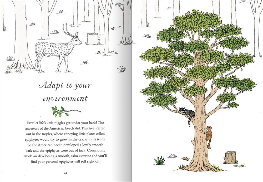 How to Be More Tree: Essential Life Lessons for Perennial Happiness
