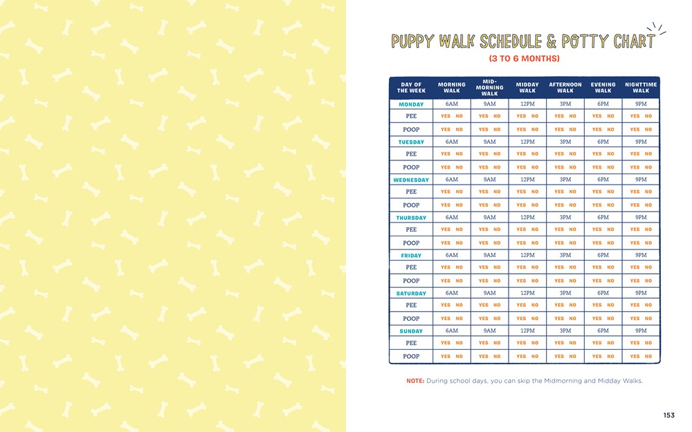 Dog Training for Kids: Fun and Easy Ways to Care for Your Furry Friend