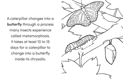 Bug Book for Kids: Coloring Fun and Awesome Facts (A Did You Know? Coloring Book)