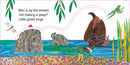 The Very Hungry Caterpillar's Forest Hide & Seek
