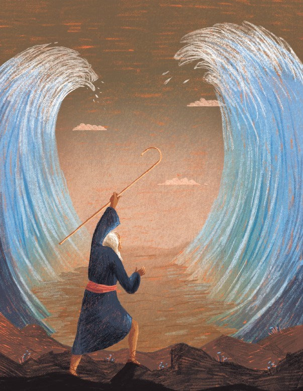Childrens Bible Stories for Bedtime (Fully Illustrated): Gift Edition: To Grow in Faith & Love