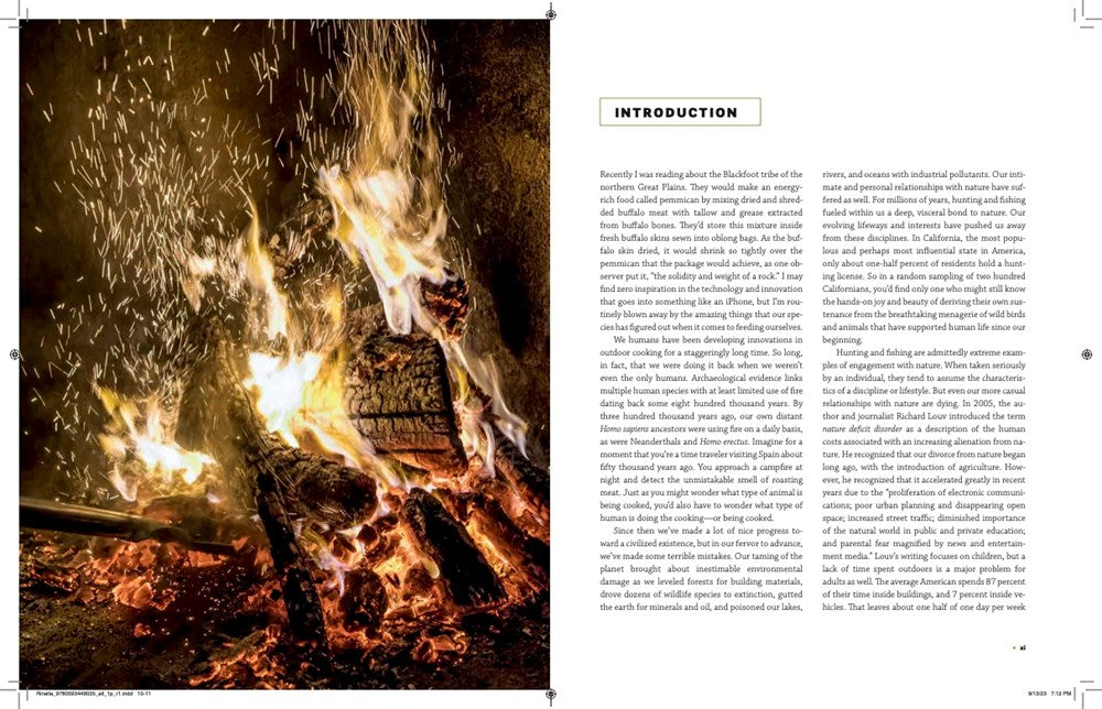 The MeatEater Outdoor Cookbook: Wild Game Recipes for the Grill, Smoker, Campstove, and Campfire
