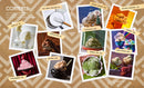 America's Most Iconic Ice Creams: A Salt & Straw Cookbook: Classic Flavors and Creative Riffs