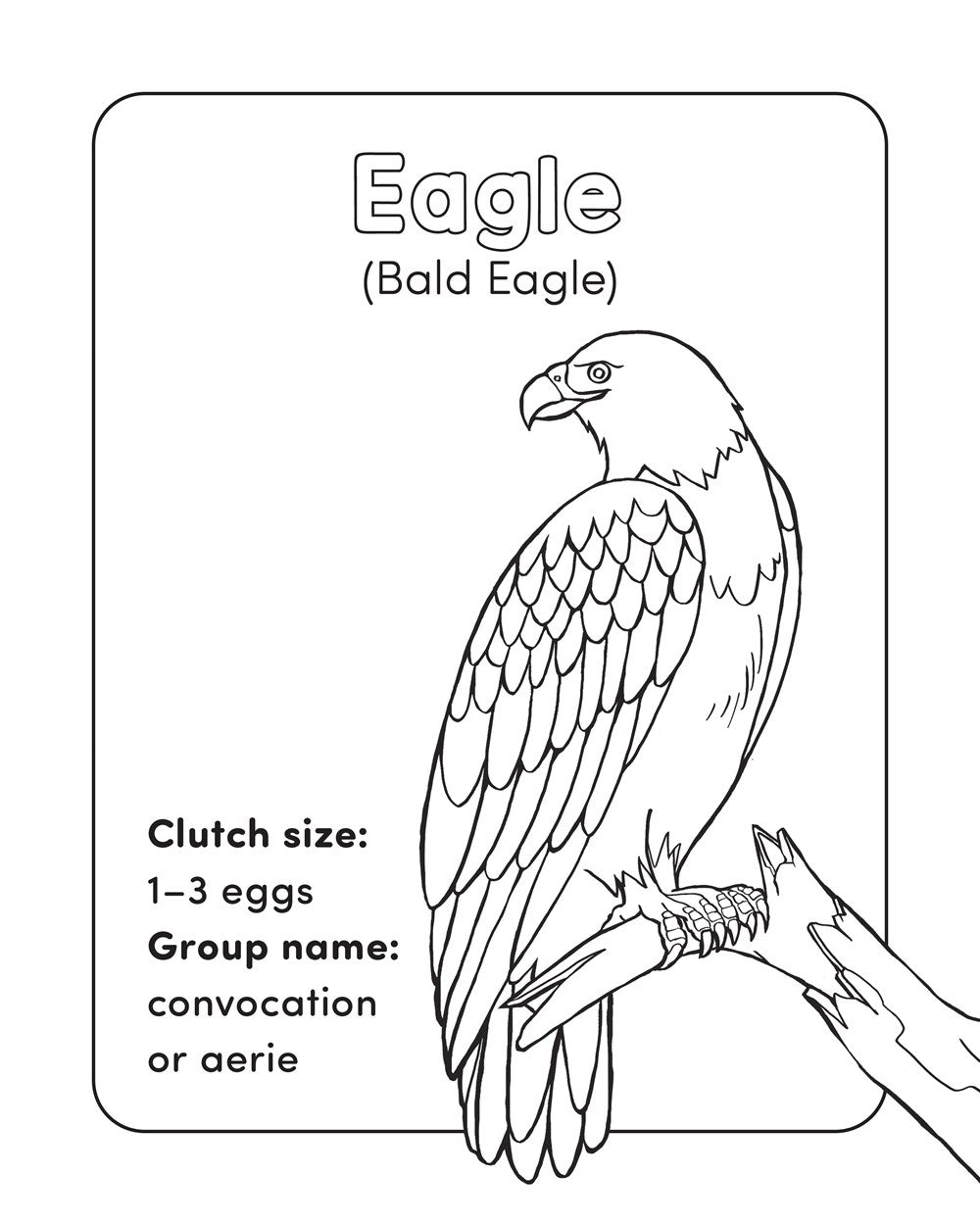Bird Book for Kids: Coloring Fun and Awesome Facts (A Did You Know? Coloring Book)
