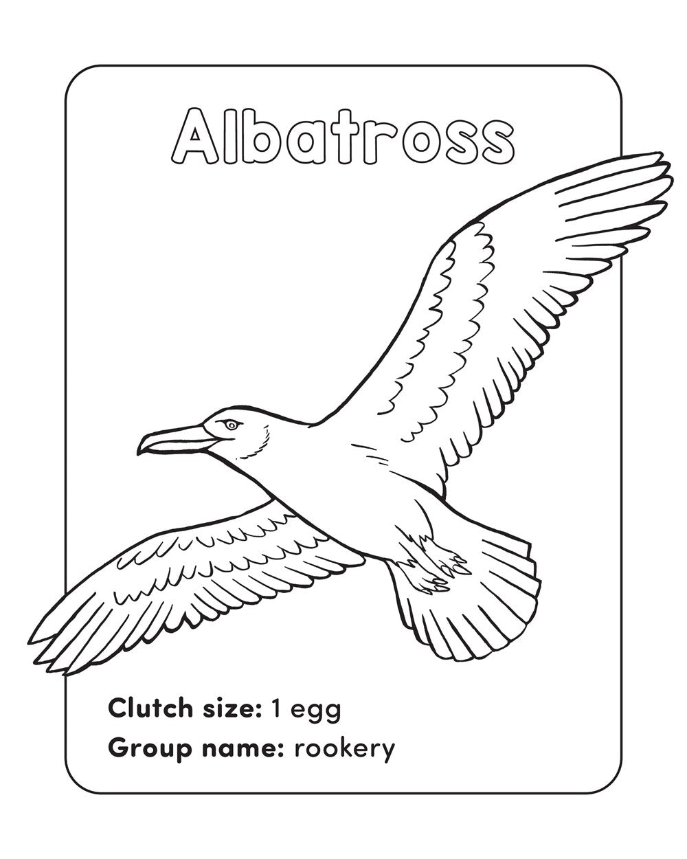 Bird Book for Kids: Coloring Fun and Awesome Facts (A Did You Know? Coloring Book)