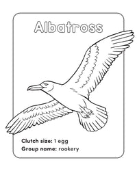 Bird Book for Kids: Coloring Fun and Awesome Facts (A Did You Know? Coloring Book)