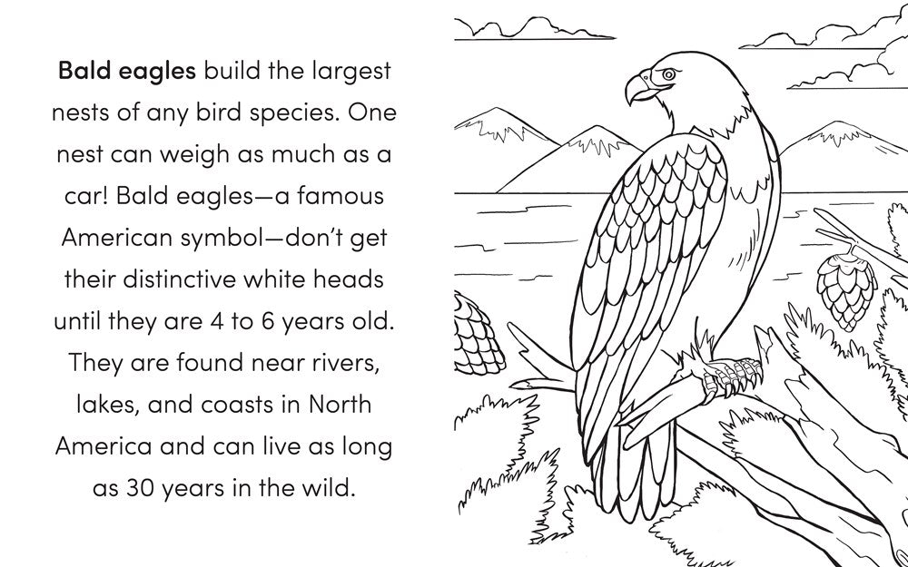 Bird Book for Kids: Coloring Fun and Awesome Facts (A Did You Know? Coloring Book)