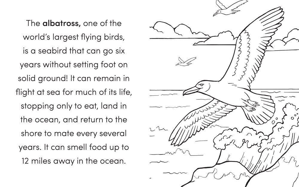 Bird Book for Kids: Coloring Fun and Awesome Facts (A Did You Know? Coloring Book)