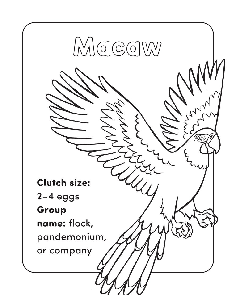 Bird Book for Kids: Coloring Fun and Awesome Facts (A Did You Know? Coloring Book)