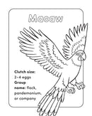 Bird Book for Kids: Coloring Fun and Awesome Facts (A Did You Know? Coloring Book)