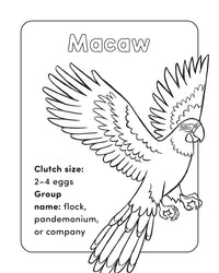 Bird Book for Kids: Coloring Fun and Awesome Facts (A Did You Know? Coloring Book)