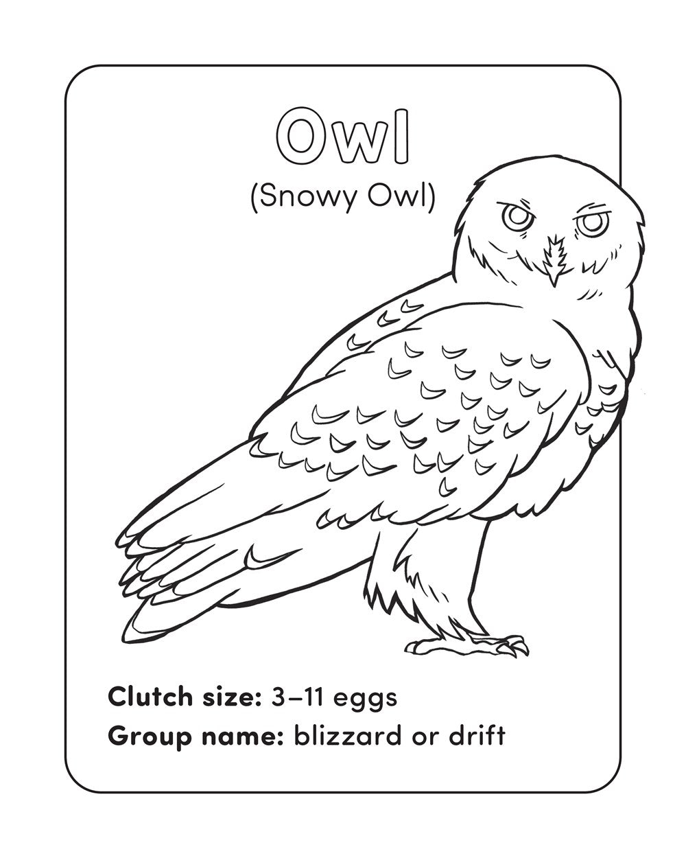 Bird Book for Kids: Coloring Fun and Awesome Facts (A Did You Know? Coloring Book)