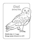 Bird Book for Kids: Coloring Fun and Awesome Facts (A Did You Know? Coloring Book)