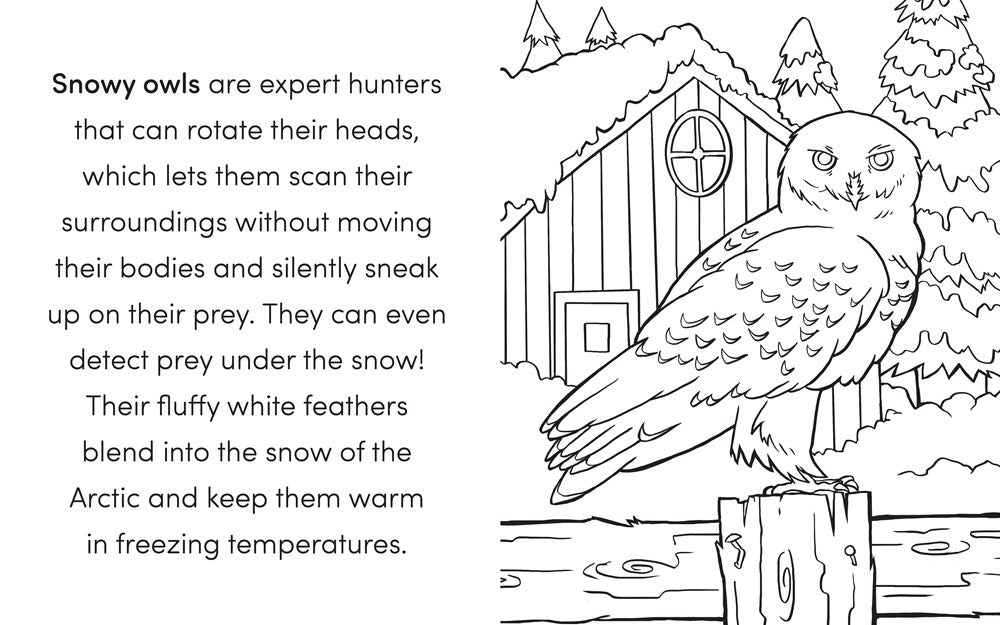 Bird Book for Kids: Coloring Fun and Awesome Facts (A Did You Know? Coloring Book)