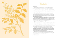 Strength for All Seasons: A Mom's Devotional of Powerful Verses and Prayers