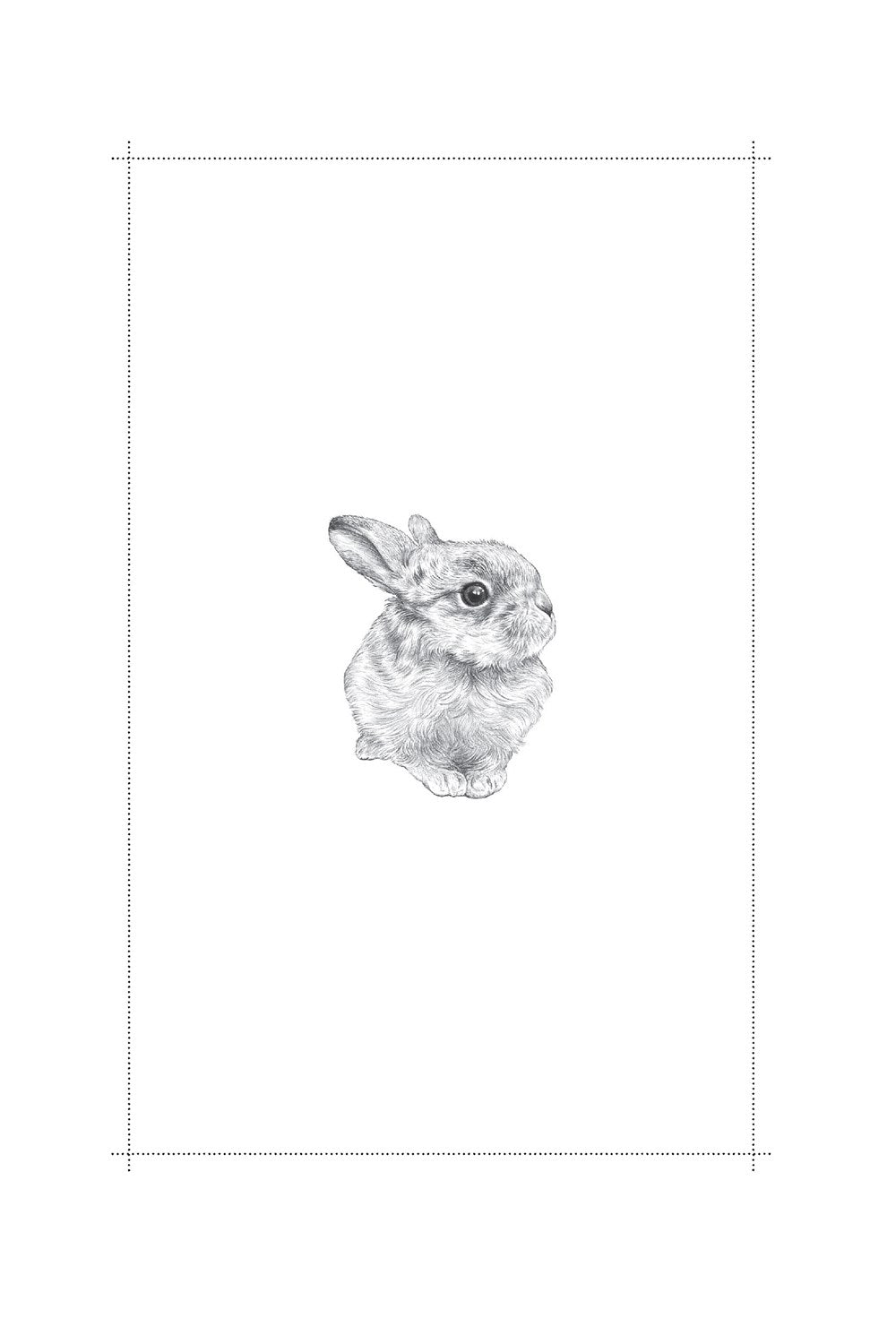 Raising Hare: A Memoir
