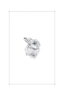 Raising Hare: A Memoir
