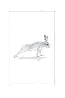 Raising Hare: A Memoir