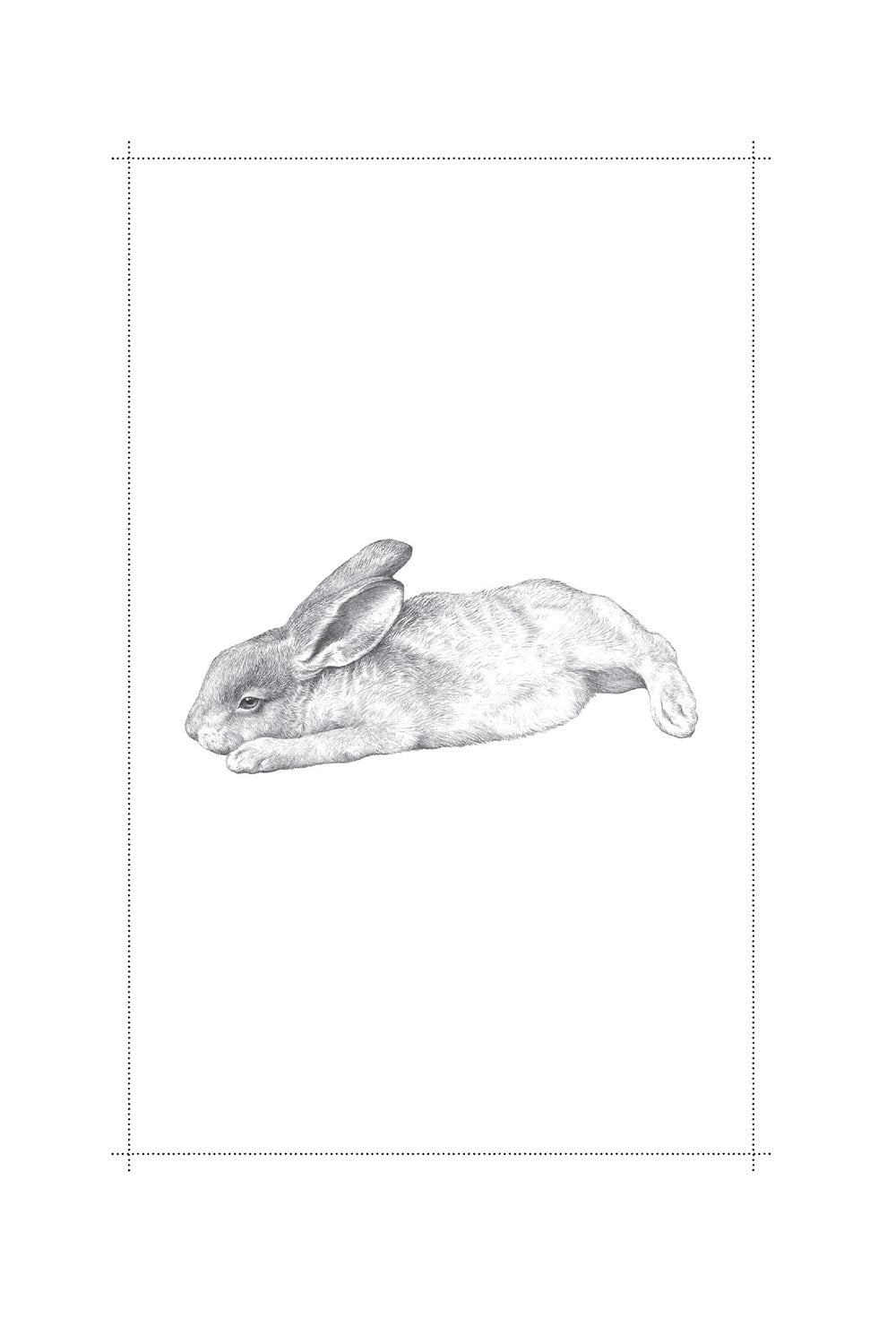 Raising Hare: A Memoir