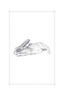 Raising Hare: A Memoir