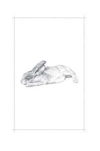 Raising Hare: A Memoir
