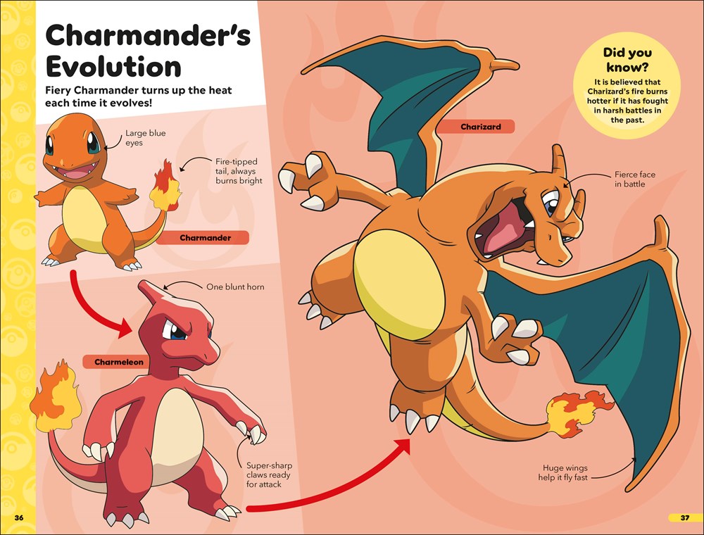 Pokemon Book of Evolutions