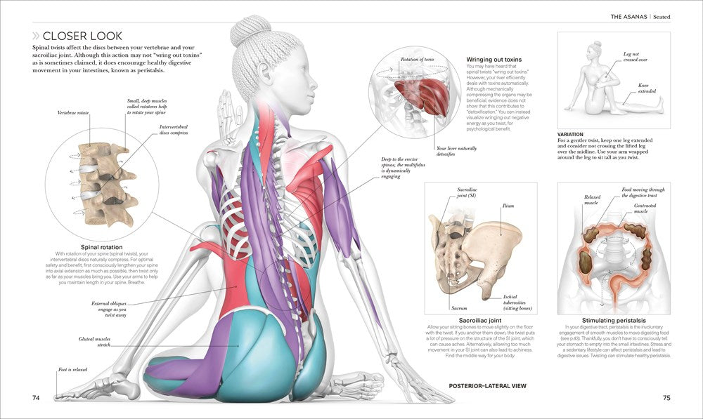 Science of Yoga: Understand the Anatomy and Physiology to Perfect Your Practice (The Science of Fitness)