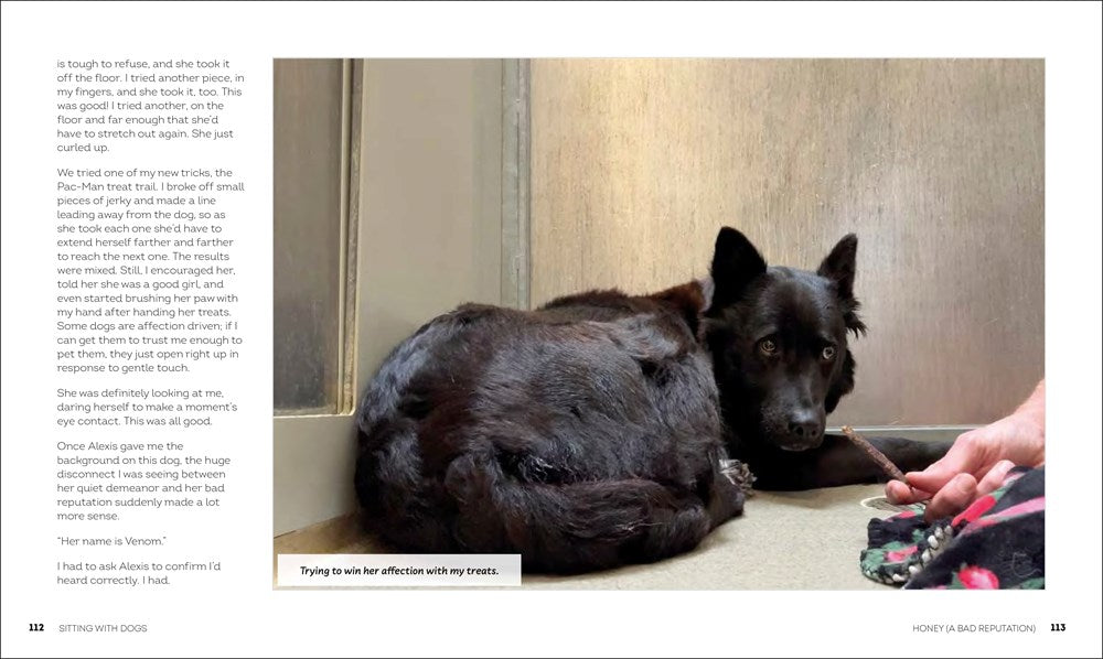 Sitting with Dogs: Stories of Rescue Dogs Going from Lost to Loved