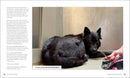 Sitting with Dogs: Stories of Rescue Dogs Going from Lost to Loved