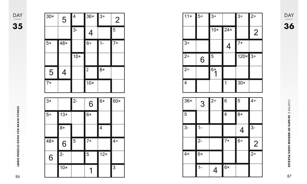 Logic Puzzles Book for Brain Fitness: 90-Day Challenge to Sharpen the Mind and Strengthen Cognitive Skills Enlarged Print, Easy to Hard! (Brain Fitness Puzzle Games)