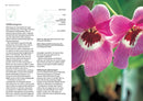 Orchid Basics