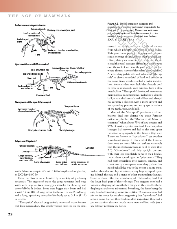 The Princeton Field Guide to Prehistoric Mammals