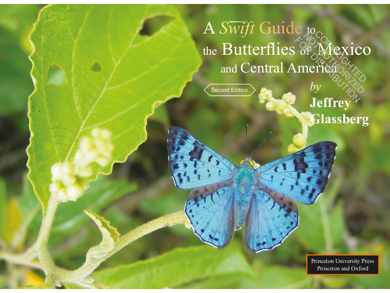 A Swift Guide to Butterflies of Mexico and Central America