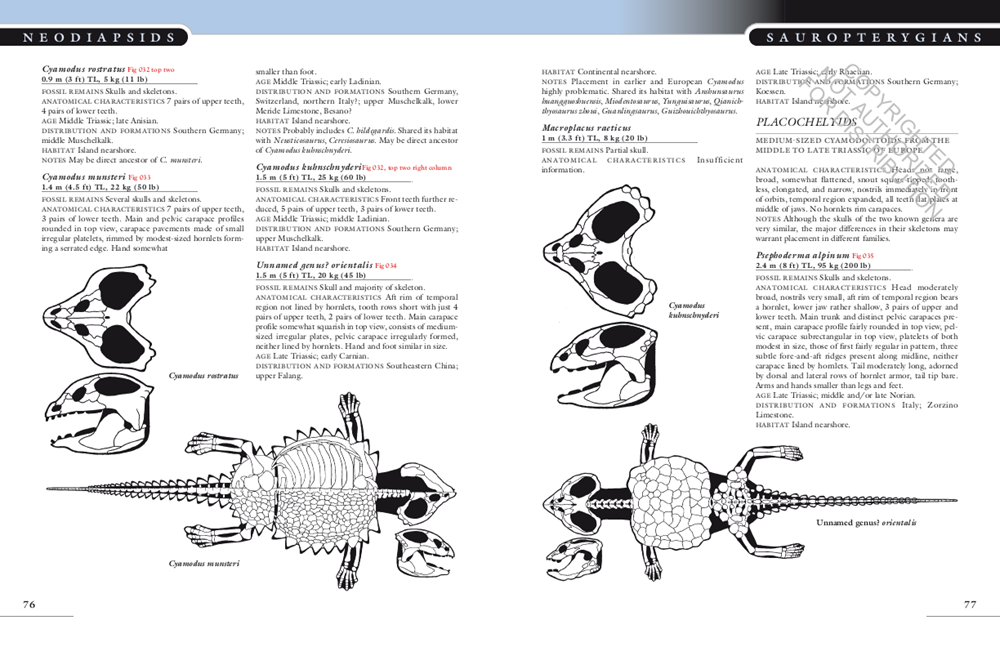 The Princeton Field Guide to Mesozoic Sea Reptiles