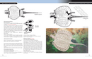 The Princeton Field Guide to Mesozoic Sea Reptiles