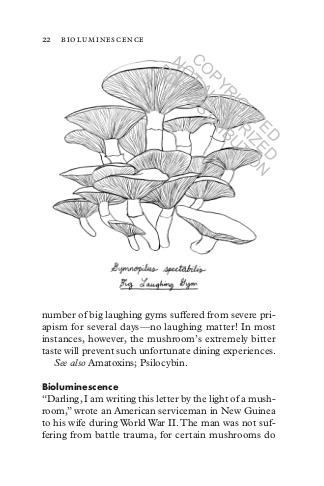 Fungipedia
