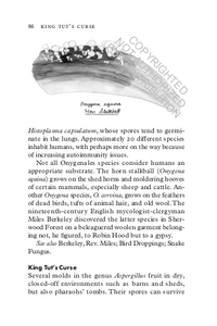 Fungipedia