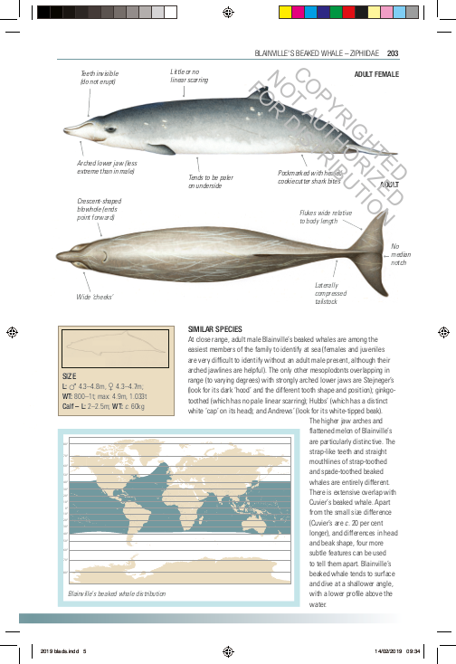 Handbook of Whales, Dolphins, and Porpoises of the World