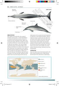 Handbook of Whales, Dolphins, and Porpoises of the World