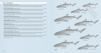 Sharks of the World