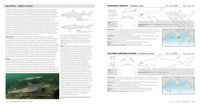 Sharks of the World